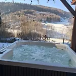 Za Lasem Chalet *