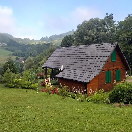 Za Lasem Laskowa (Limanowa)