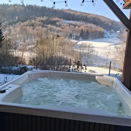 Za Lasem Chalet *